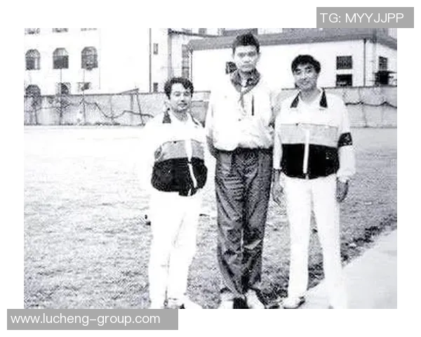 孤影姚明：从篮球巨星到人生哲学的探索与反思