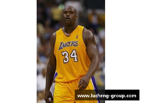 2016年NBA球员排名前十分析与影响力评估