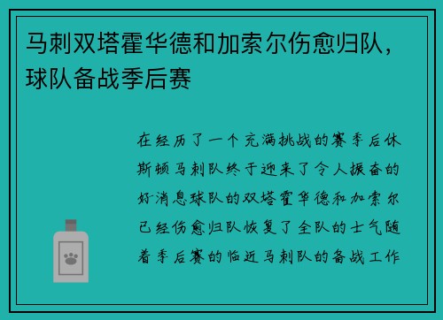 马刺双塔霍华德和加索尔伤愈归队，球队备战季后赛